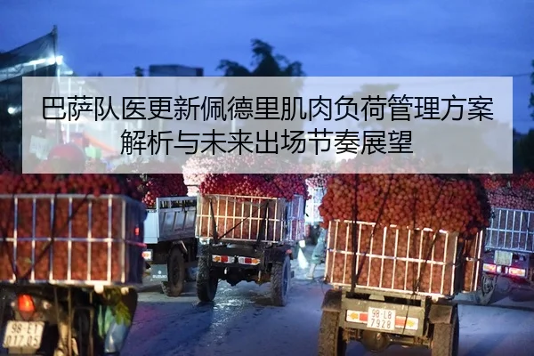 巴萨队医更新佩德里肌肉负荷管理方案解析与未来出场节奏展望