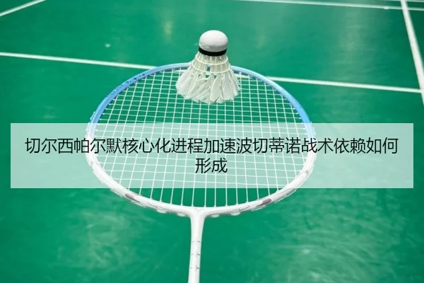 切尔西帕尔默核心化进程加速波切蒂诺战术依赖如何形成