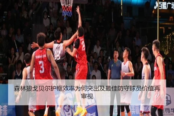 森林狼戈贝尔护框效率为何突出及最佳防守球员价值再审视